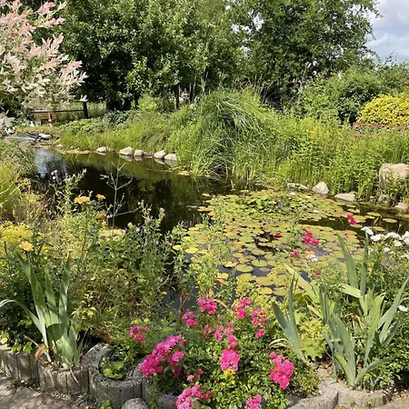 Appartamento Reethaus Reethaus - 